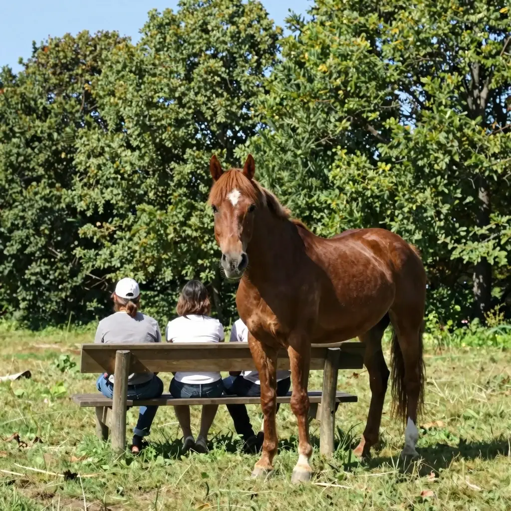 jokes about horses